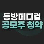 동방메디컬 공모주 청약 일정,수요 예측,주가 전망(+동방메디컬 상장) 3 동방메디컬 공모주 청약