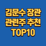 김문수 관련주 추천 TOP10 4 김문수 관련주 추천