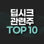 딥시크 관련주 TOP 10 추천(+대장주,수혜주) 3 딥시크 관련주