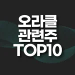 오라클 관련주 추천 TOP10(대장주,수혜주) 5 오라클 관련주 추천