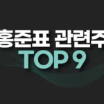 홍준표 관련주 TOP 9(+테마주,수혜주,대장주) 3 홍준표 관련주