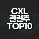CXL 관련주 TOP10(대장주,수혜주,테마주) 4 CXL 관련주