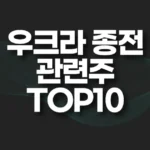 우크라이나 종전 관련주 TOP10(종전 대장주,수혜주) 4 우크라니아 종전 관련주
