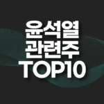 윤석열 관련주 TOP10(대장주,수혜주,테마주) 4 윤석열 관련주 TOP10