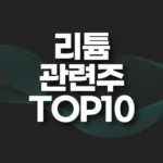 리튬 관련주 TOP10(대장주,수혜주) 4 리튬 관련주 top10
