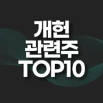 개헌 관련주,테마주 TOP10(세종시 이전 테마주) 5 개헌 관련주 TOP10