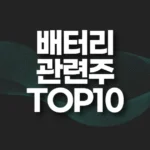 배터리 관련주 TOP10(대장주,수혜주) 6 배터리 관련주 TOP10