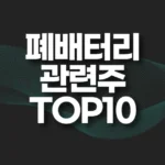 폐배터리 관련주 TOP10(대장주,수혜주) 5 폐배터리 관련주 TOP10