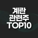 계란 관련주 TOP10(계란 수출 관련주) 7 계란 관련주 TOP10