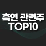 흑연 관련주 TOP10 추천(대장주,수혜주) 4 흑연 관련주 TOP10