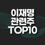 이재명 관련주,테마주 TOP10(조기 대선) 5 이재명 관련주 top10