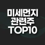 황사 미세먼지 관련주 TOP10(마스크 관련주,대장주) 5 황사 미세먼지 관련주 top10