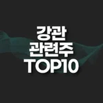 강관 관련주 TOP10(대장주,테마주) 6 강관 관련주 TOP10