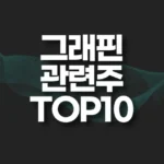 그래핀 관련주 TOP10(대장주,테마주) 6 그래핀 관련주 top10