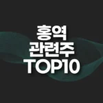홍역 관련주 TOP10(대장주,테마주) 6 홍역 관련주 top10