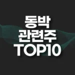 동박 관련주 추천 TOP10(대장주,수혜주) 6 동박 관련주 썸네일
